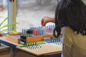 Hudson Montessori School | Elementary Hudson Montessori School | Elementary