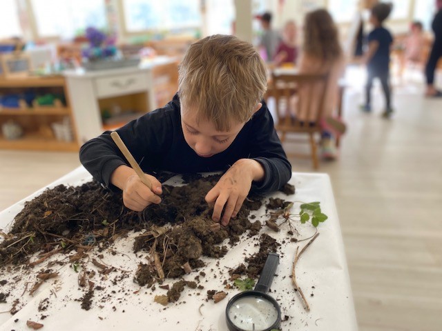 earth_day